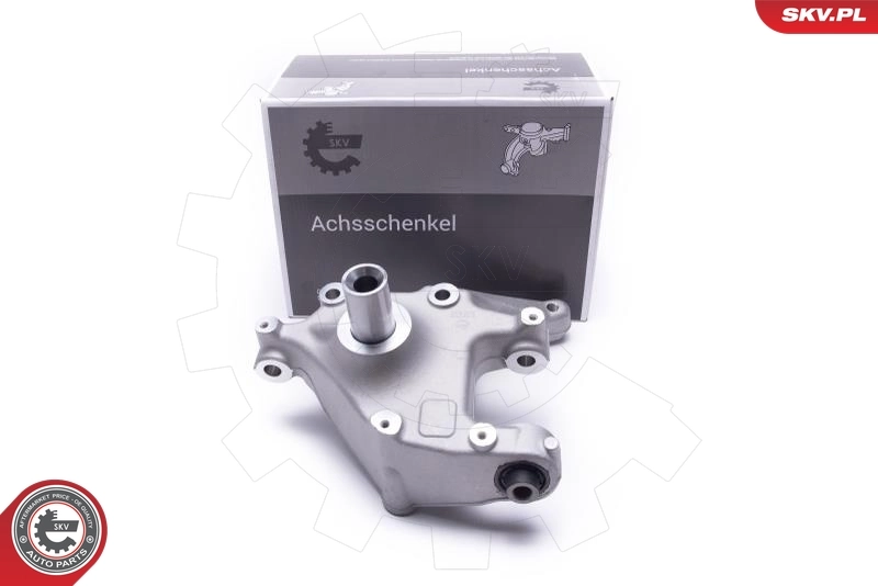Steering Knuckle, wheel suspension